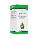 Ilex aquifolium  image 1