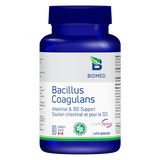 Bacillus Coagulans image 1