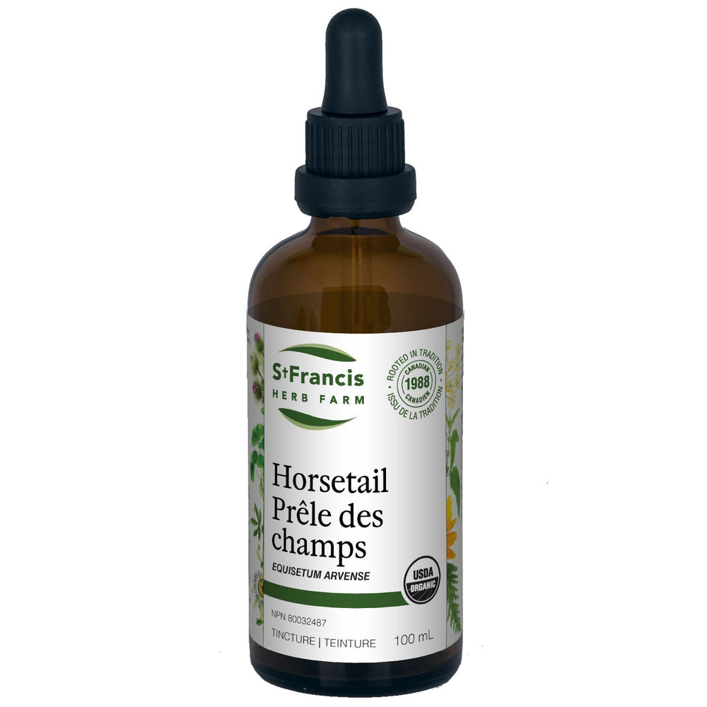 Prêle des champs Image