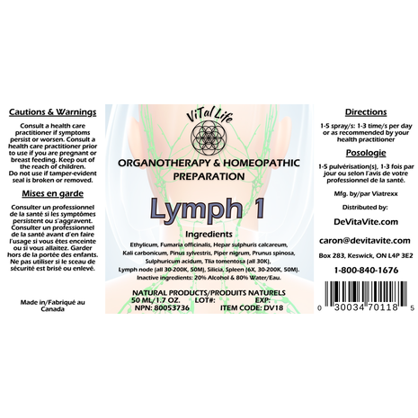 Lymph 1 Image