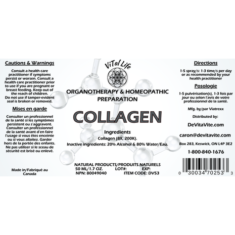 Collagen Image