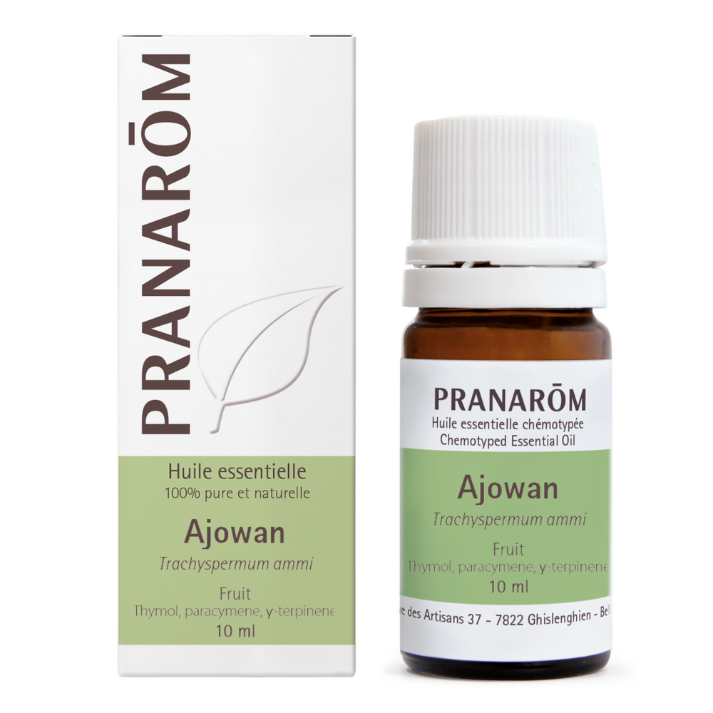 Ajowan - fruit Image