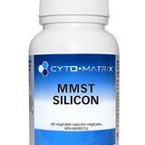 MMST Silicon image 1