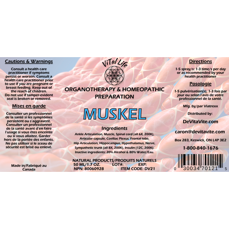 MuSkel Image