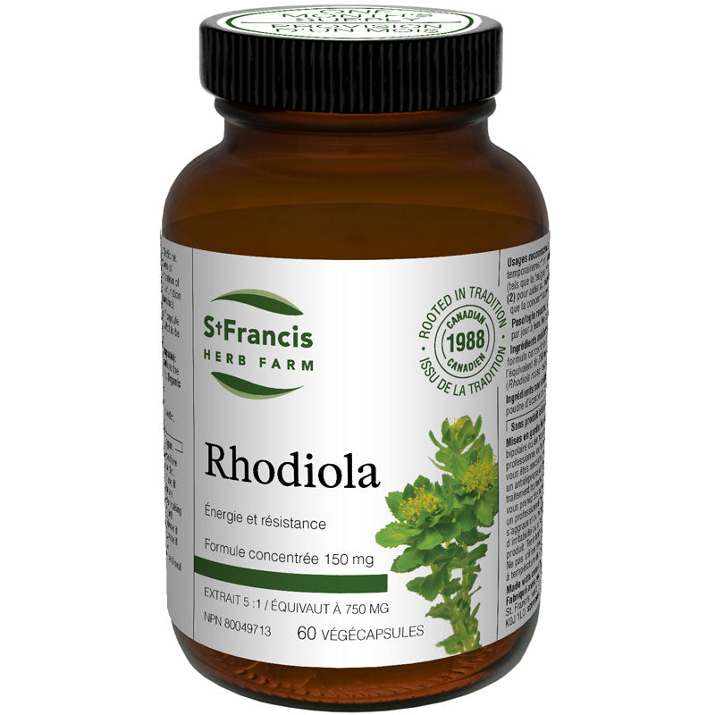 Rhodiola végécaps Image