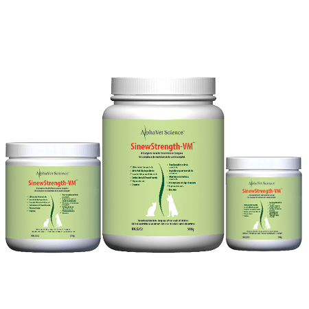 SinewStrength-VM Image