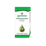 Syringa vulgaris  image 1