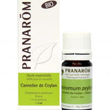 Cannelier de Ceylan image 1