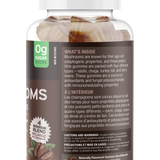 Super Mushrooms - Super Champignons image 3