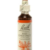 Red Chestnut image 1