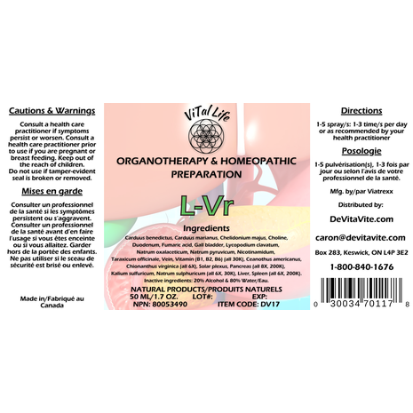 L-Vr Image