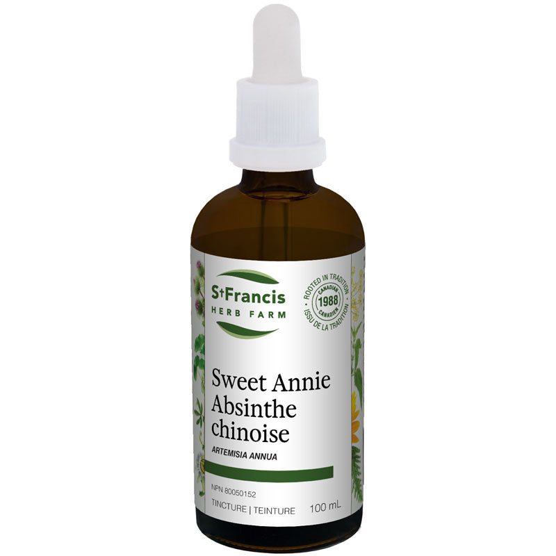 Absinthe chinoise (artemisia annua) Image