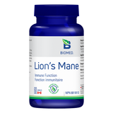 Lion’s Mane image 1