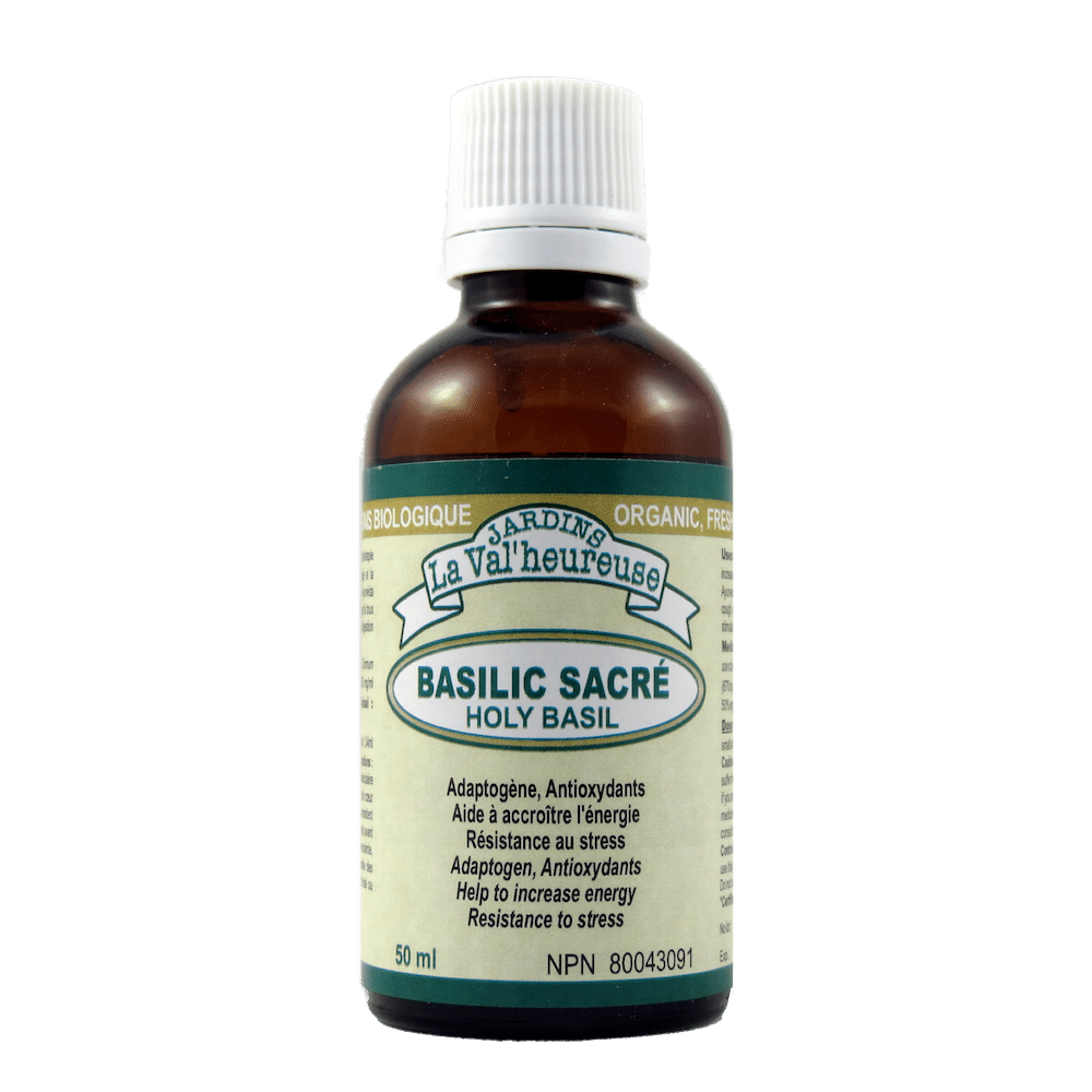 Basilic sacré Image