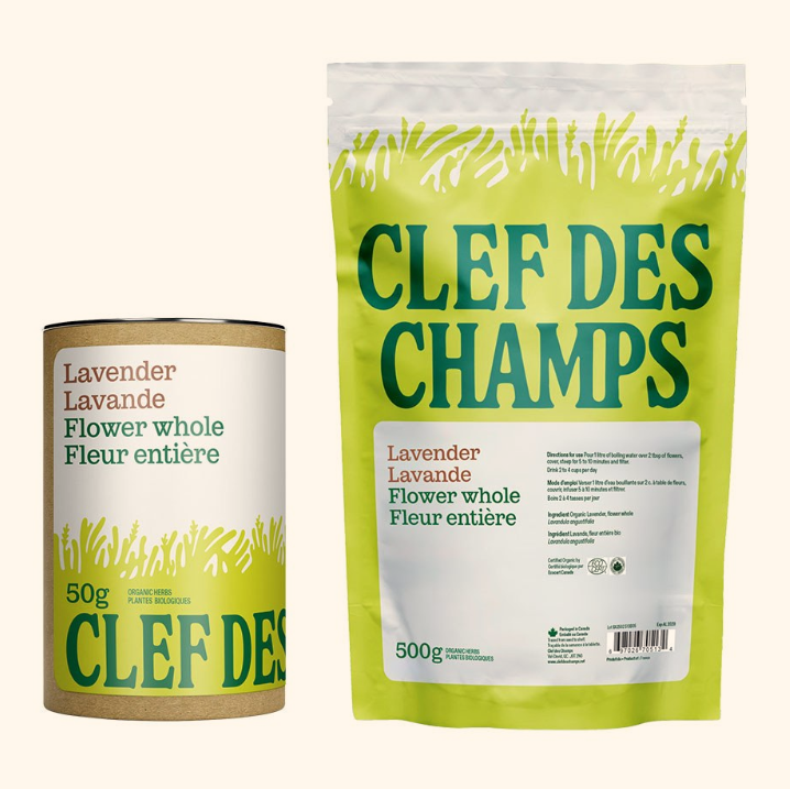 Lavande - Fleur entière Image