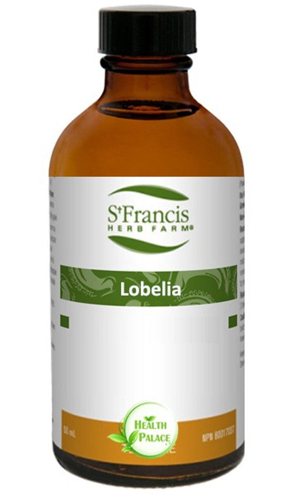 Lobélie