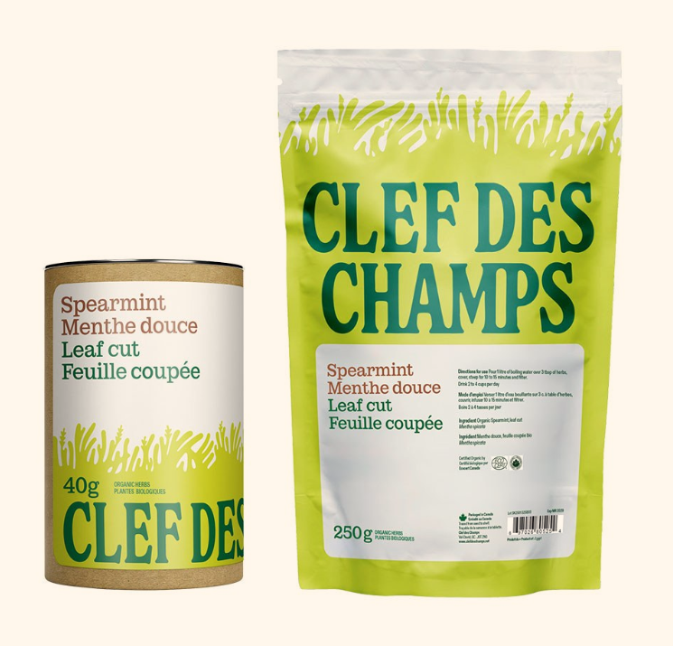 Menthe douce - Feuille Image