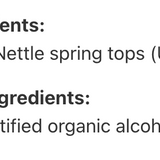 Sommités printanières d’ortie image 3