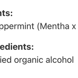 Menthe poivrée image 3