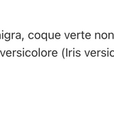 PhytoThyroMD image 3