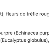 Skin Healing Salve image 2