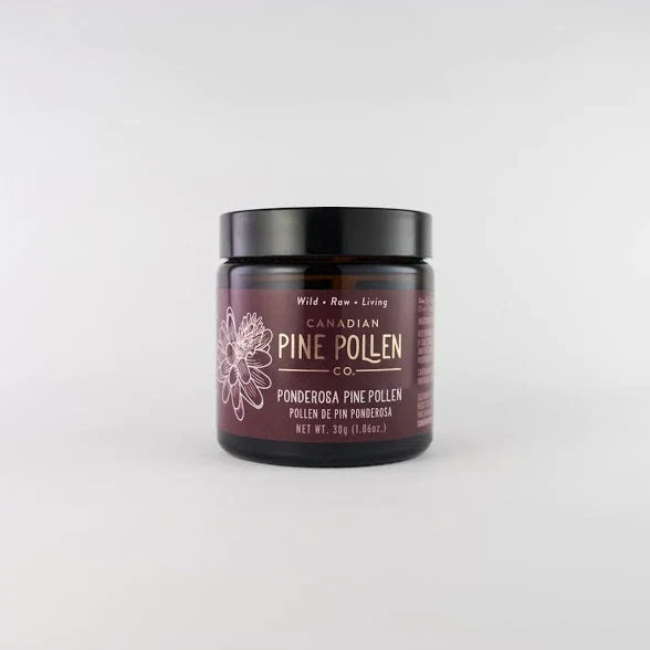 Pollen sauvage de pin ponderosa en poudre - Certifié biologique 30g