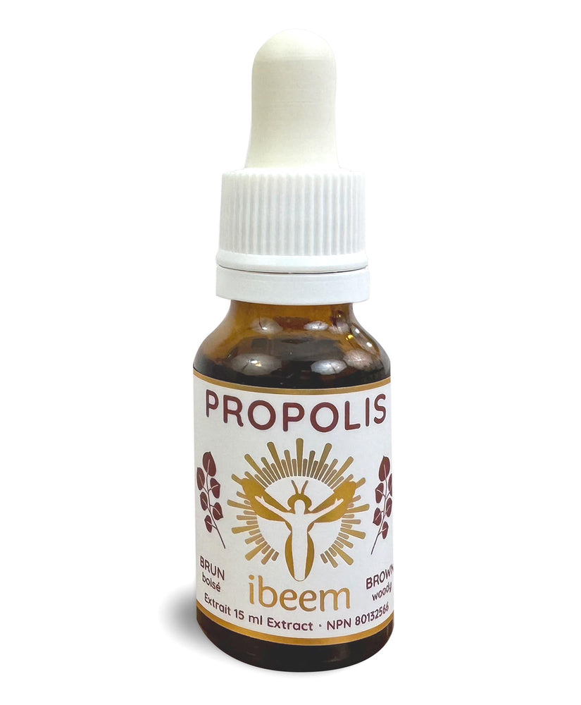 Brown poplar propolis in drops