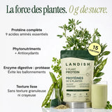 Protéines de 5 plantes image 3