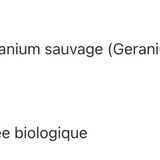 Regular Flow image 3