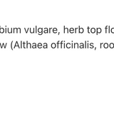 RespiraCleanse image 3