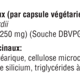 Saccharomycin DF image 3