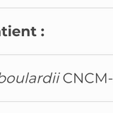 S. Boulardii SAP image 3