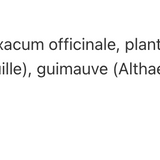 Soutien à la vésicule biliaire image 2