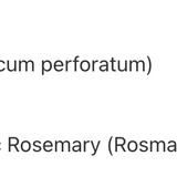 Huile de millepertuis image 3