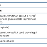 SulforaClear image 3