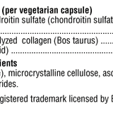 SynovX T & L image 2