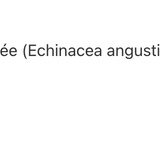 Tonique pour la prostate image 2