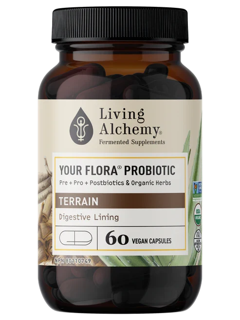 Votre Flore Probiotique Terrain