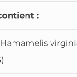 Witch-Hazel SAP image 3