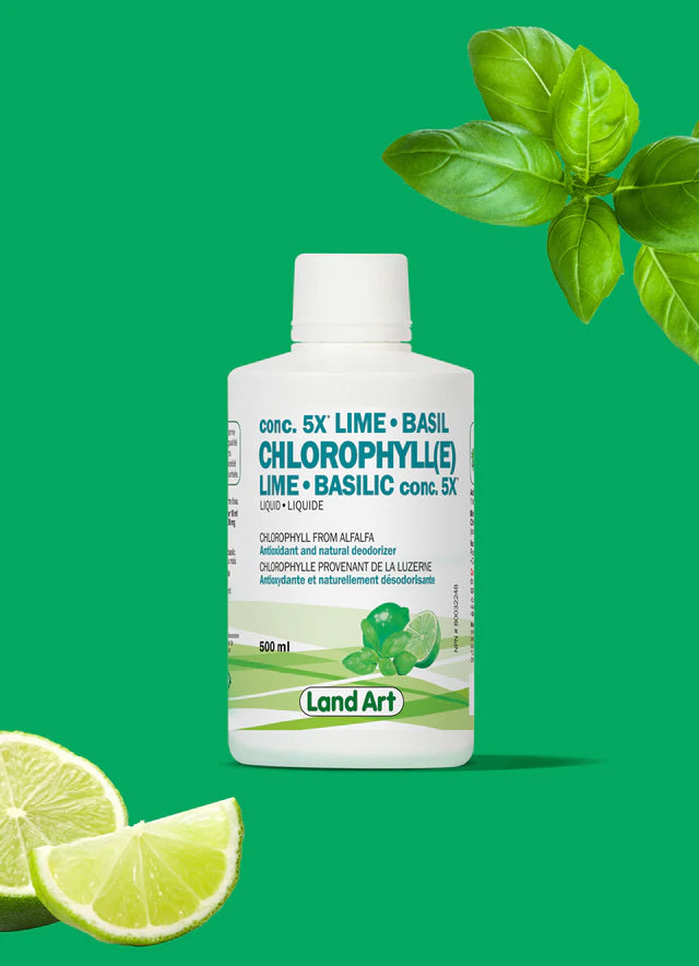 SOLDE - Chlorophylle 5X Liquide