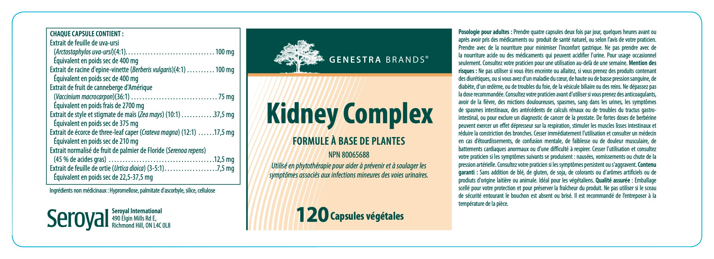 Kidney Complex